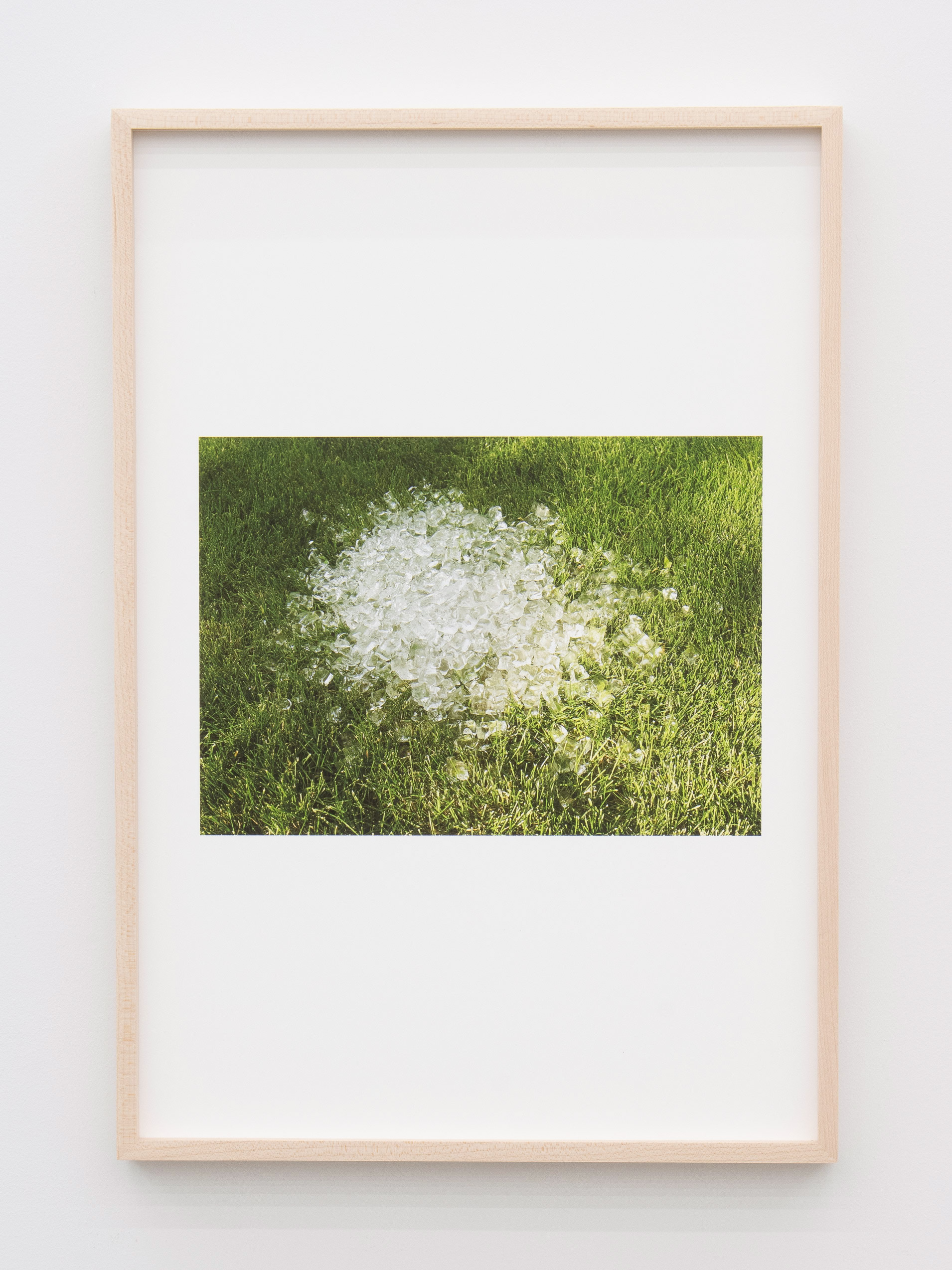 Jennifer Bolande, Ice on Grass, 2023, Archival pigment print, 19 x 13 in.
