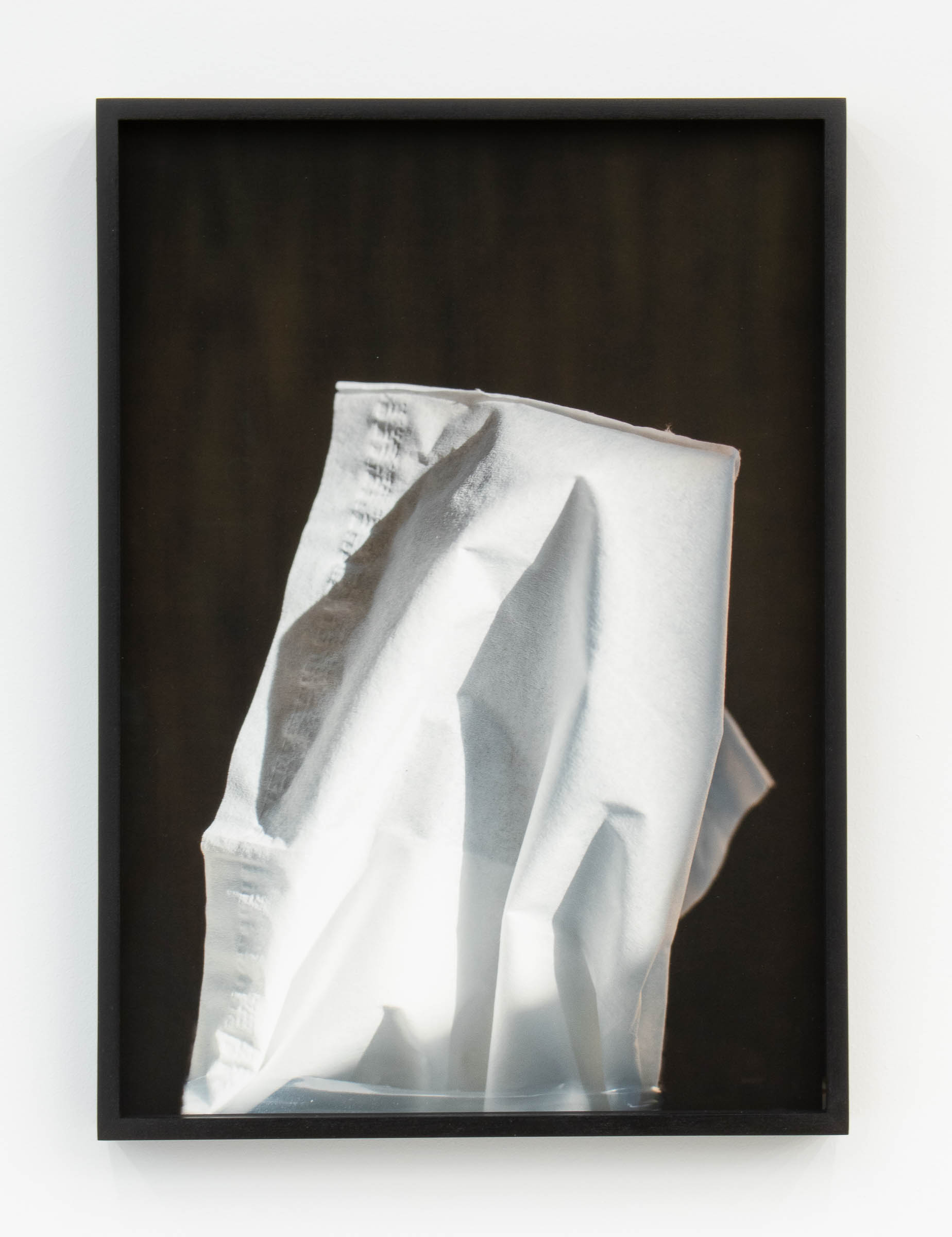 Jennifer Bolande, Monolith 2, 2023, Archival pigment print, 17.75 x 13 x 1.5 in