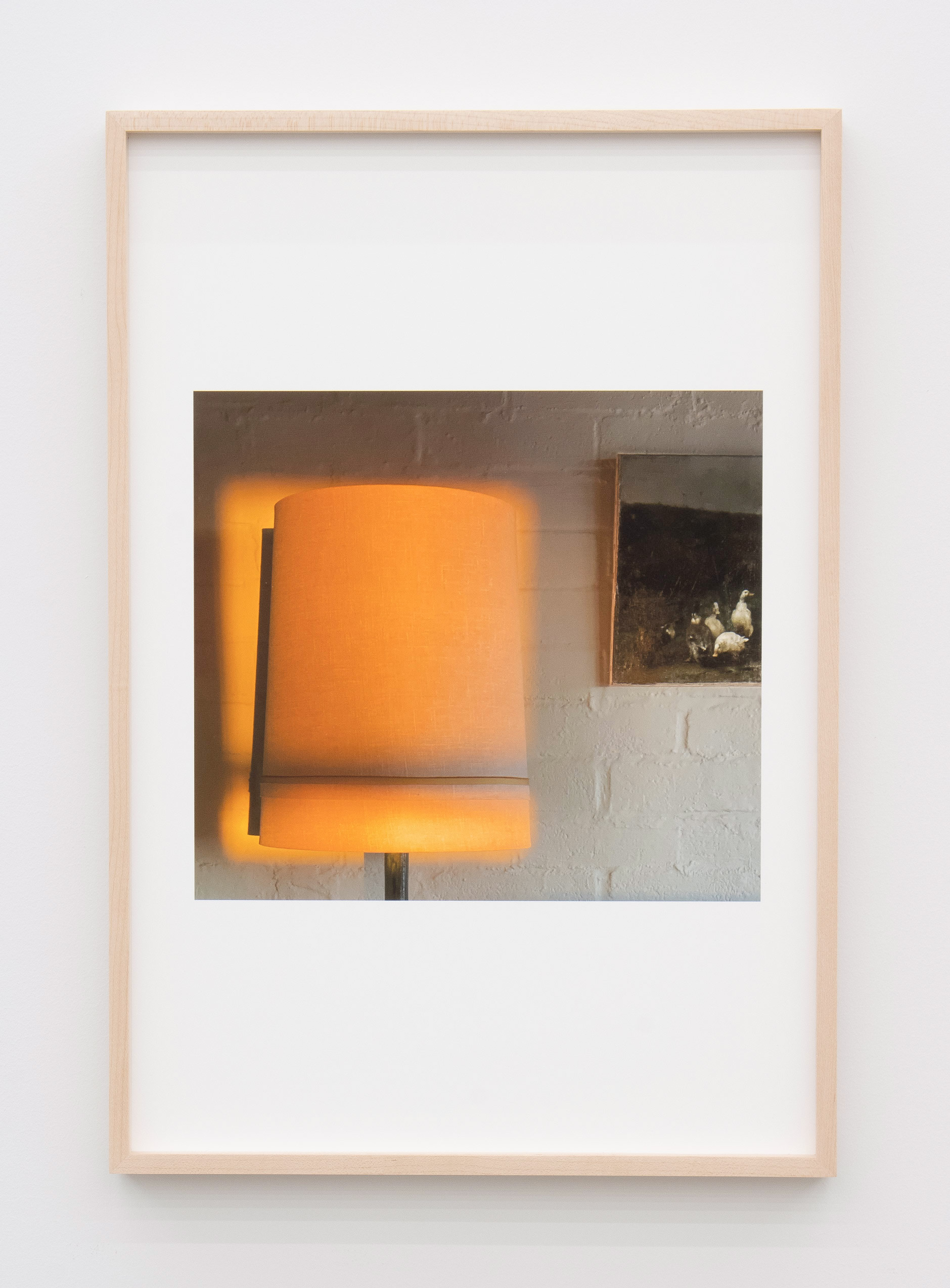 Jennifer Bolande, Illuminated Shade, 2023, Archival pigment print, 19 x 13 in.