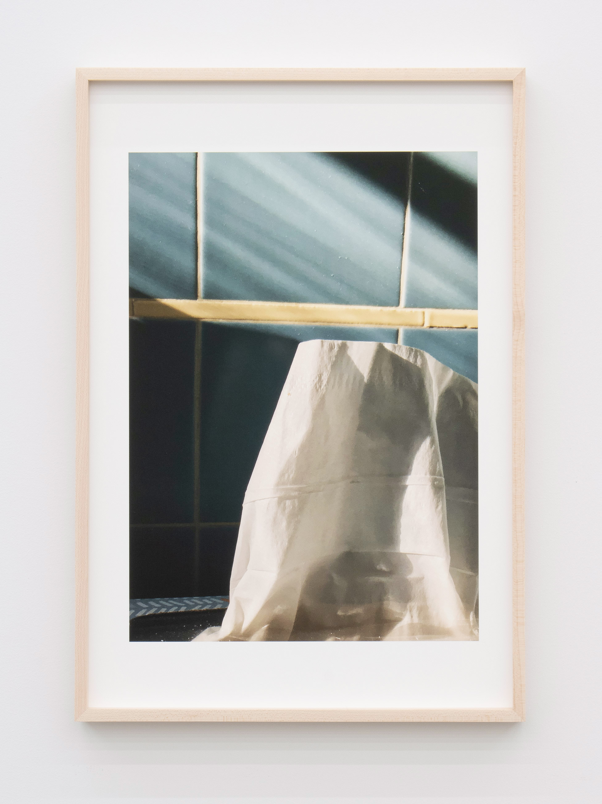 Jennifer Bolande, Against Blue Tile, 2023, Archival pigment print, 19 x 13 in.