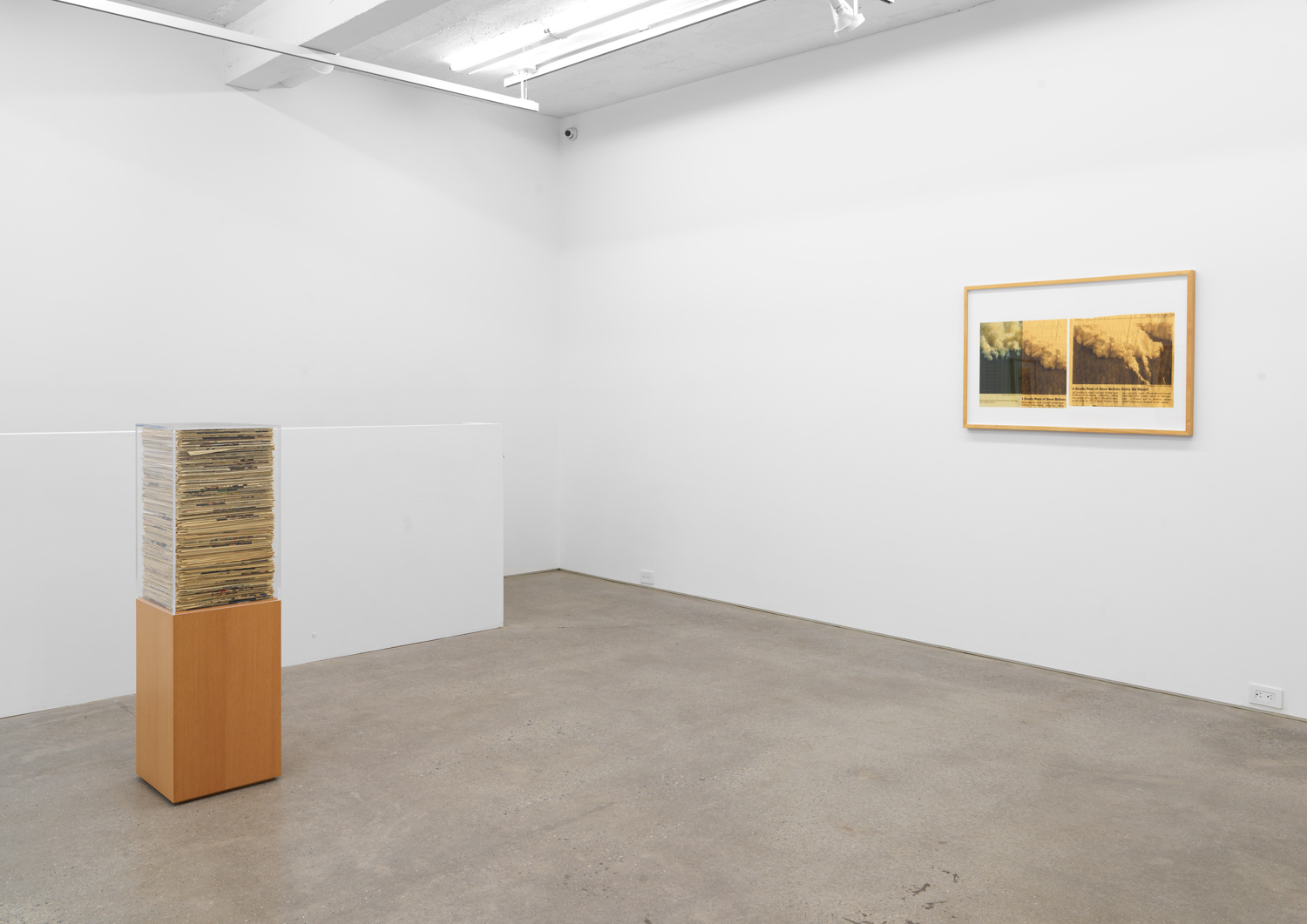 Installation view, Jennifer Bolande: The Composition of Decomposition, Magenta Plains, New York, NY, 2020