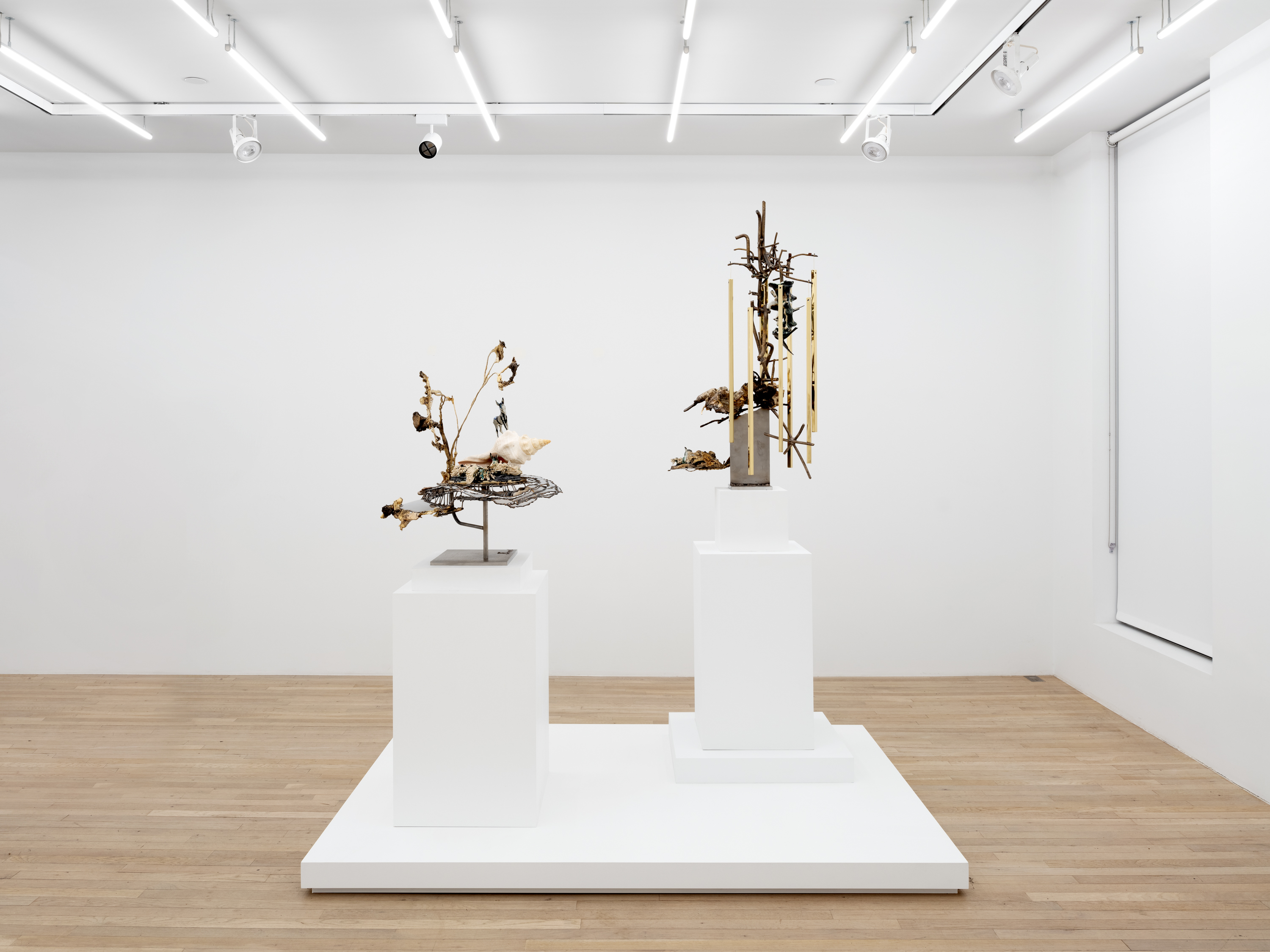 Installation view, Jon Kessler: Petrified, Magenta Plains, New York, NY, 2024