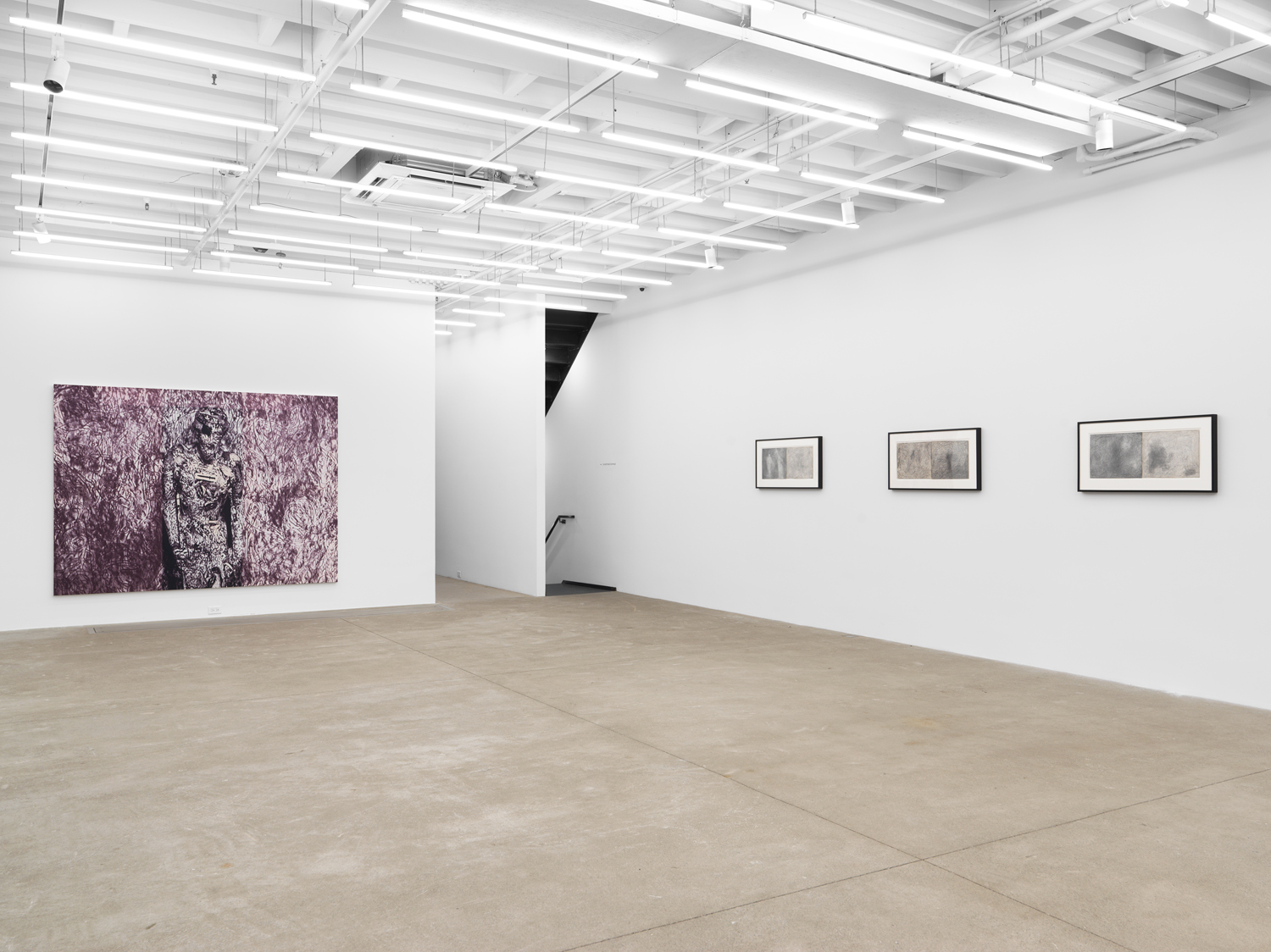 Installation view, Joseph Nechvatal: Information Noise Saturation, Magenta Plains, New York, NY, 2025