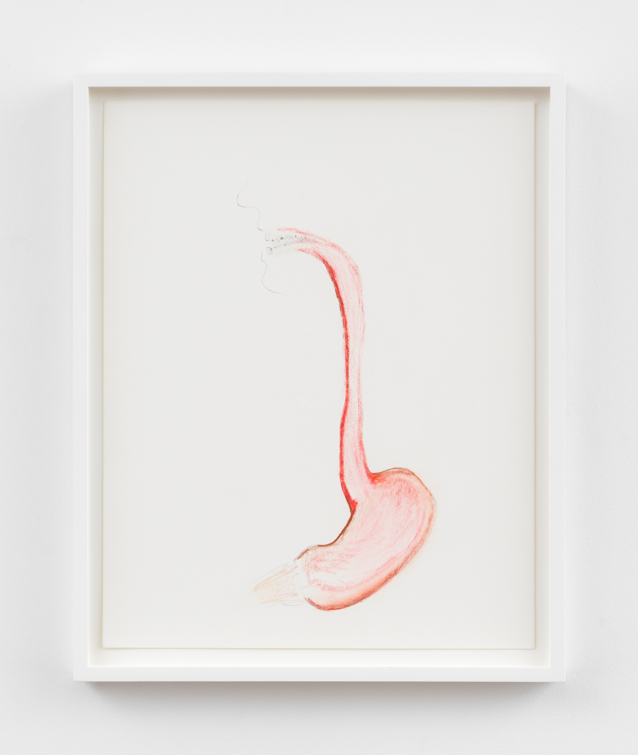 Matt Keegan, Mouth to Stomach, 2025, Colored pencil and graphite on paper, Framed: 15 1/2 x 12 1/2 x 1 in.