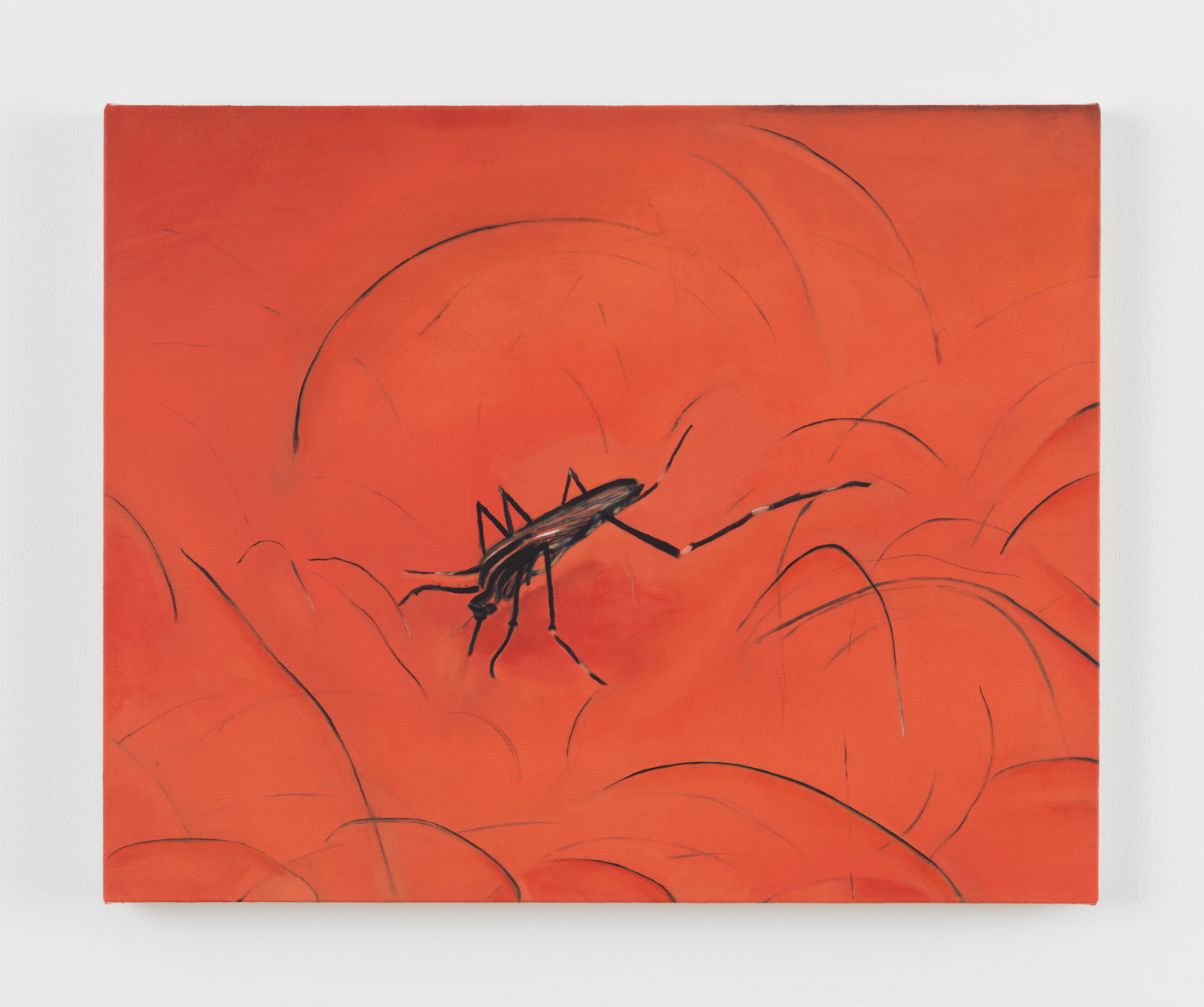 Matt Keegan, Hunger, 2024, Oil on canvas, 16 x 20 in.