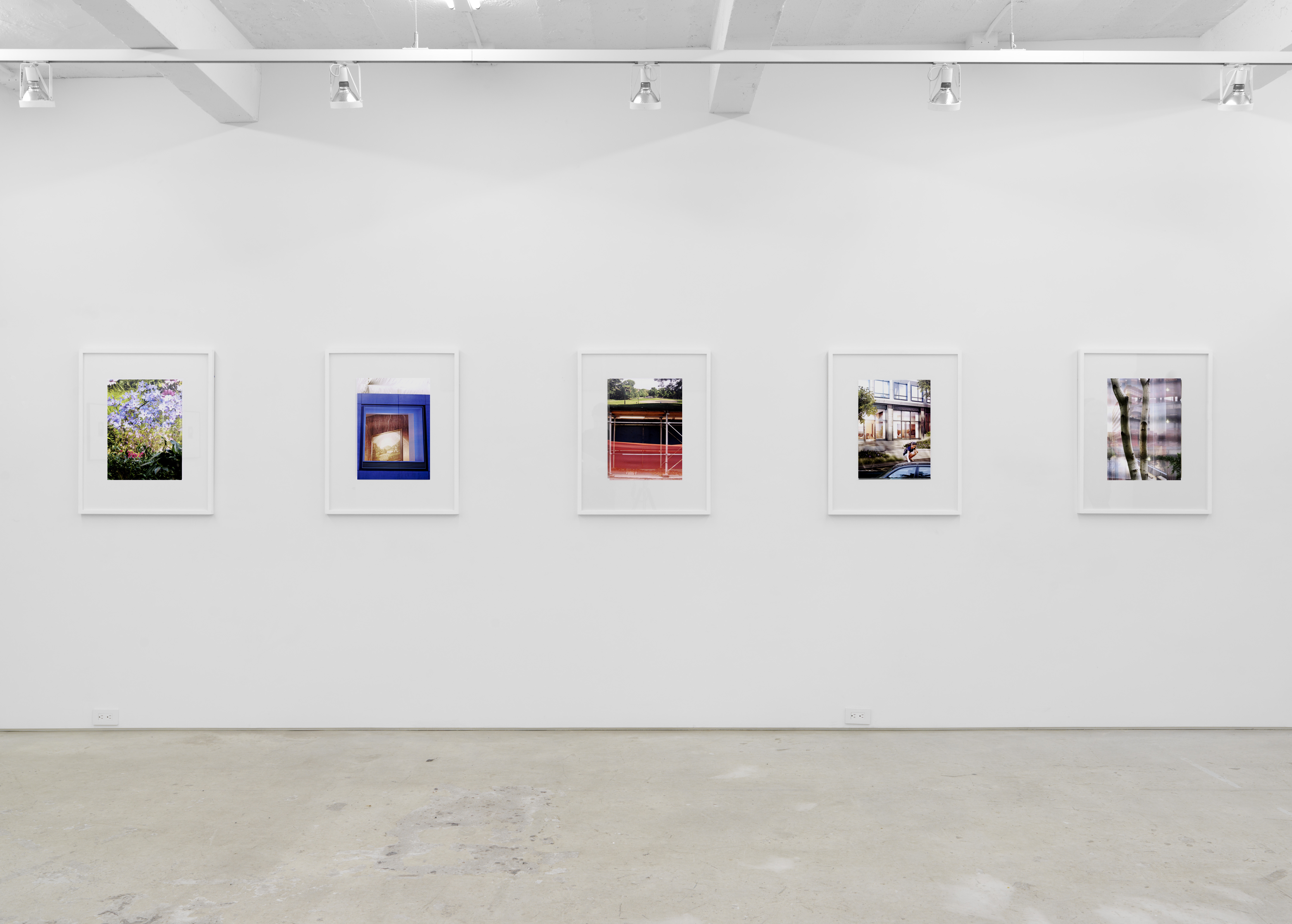 Installation view, Peter Scott: Arcadias, Magenta Plains, New York, NY, 2018