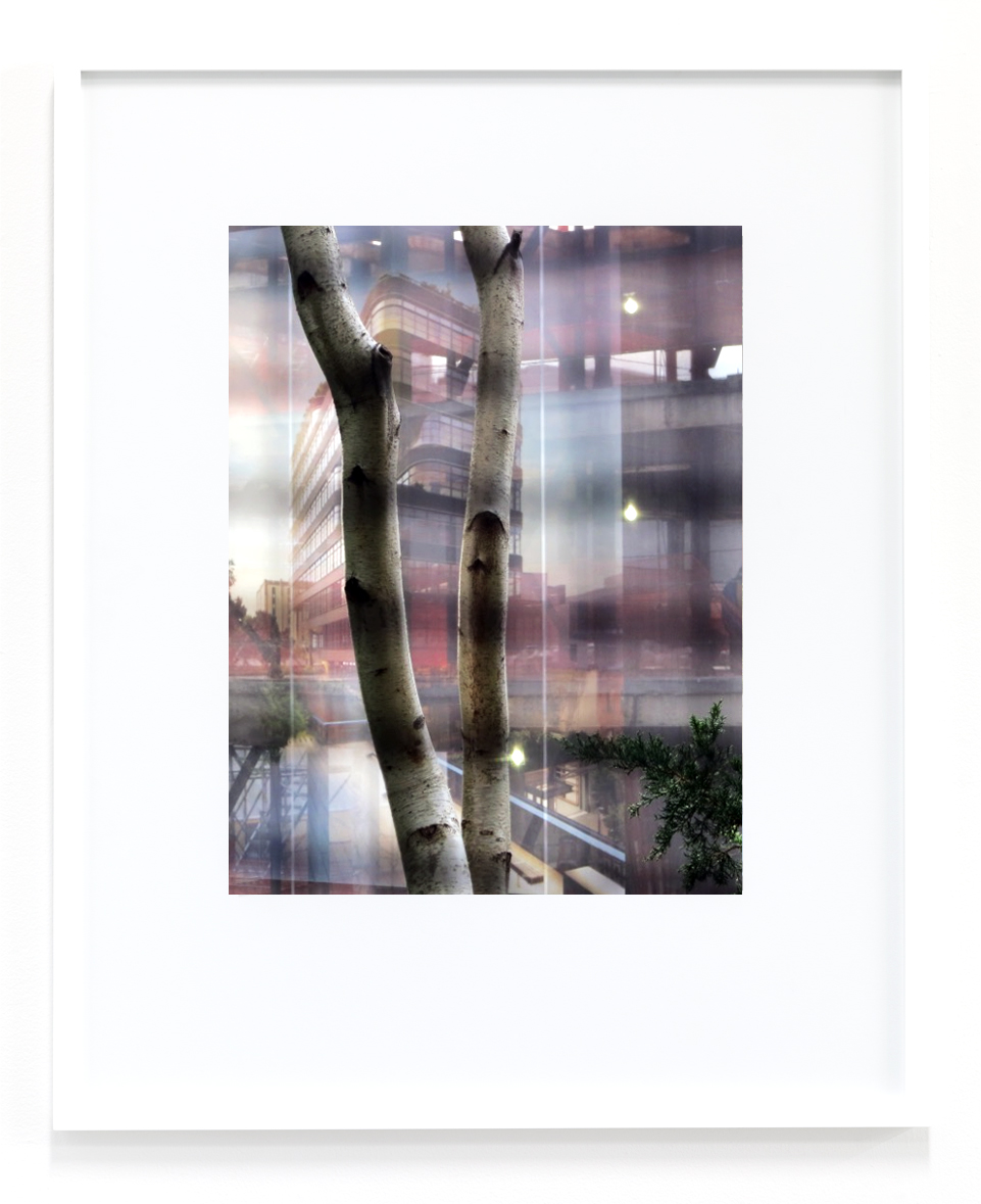 Peter Scott, Untitled (High Line), 2016, inkjet print, 19h x 14w in.