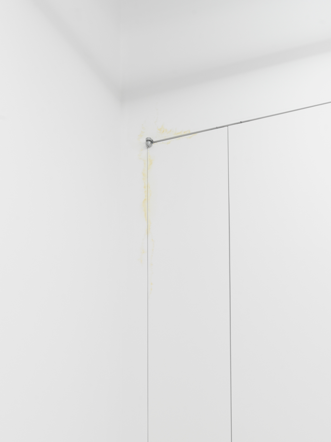 Philip Seibel, Untitled (Water Stain), 2023, Oil paint on wall, Dimensions variable.