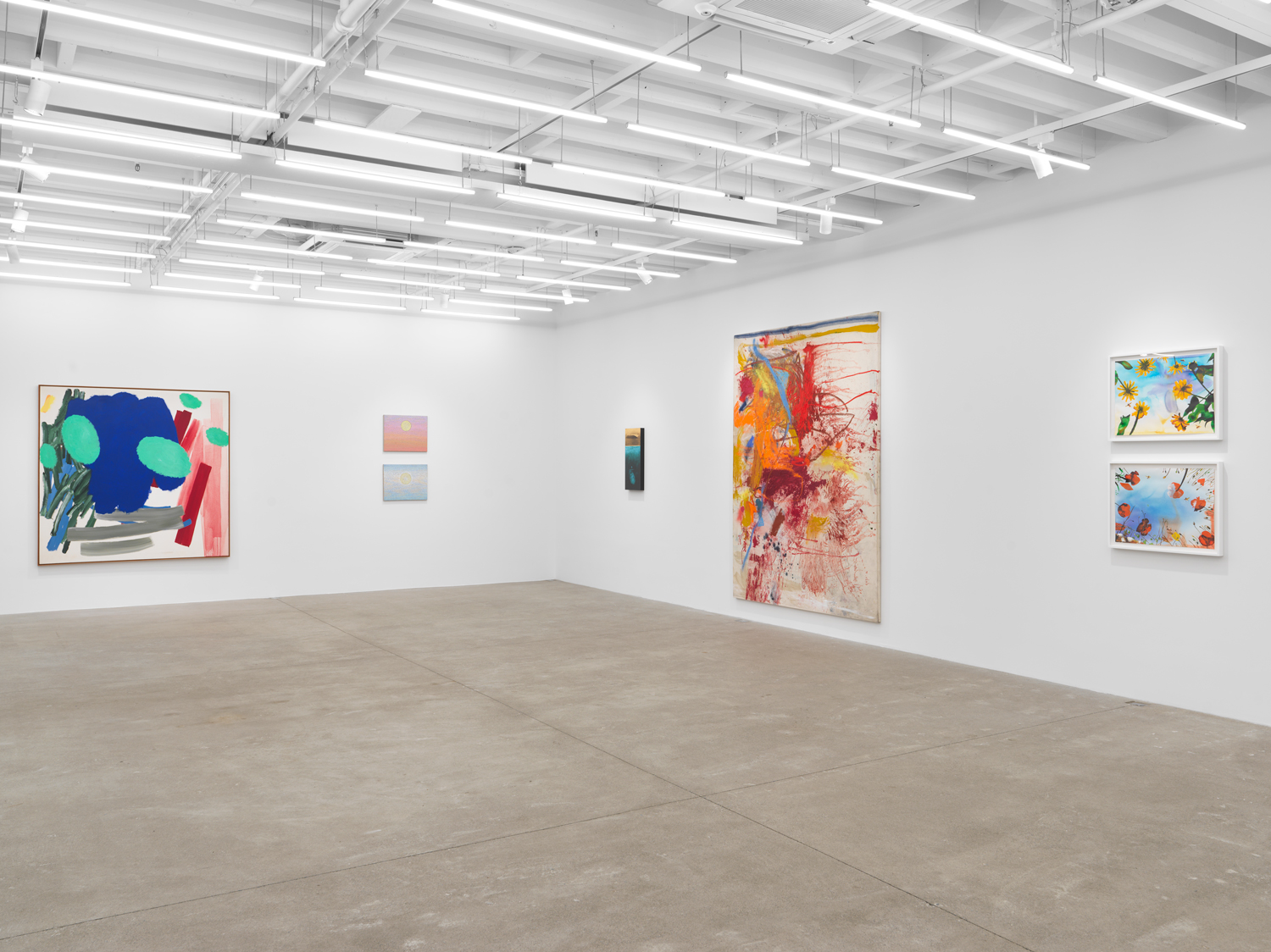 Installation view, Swim Hole, Magenta Plains, New York, NY 2024