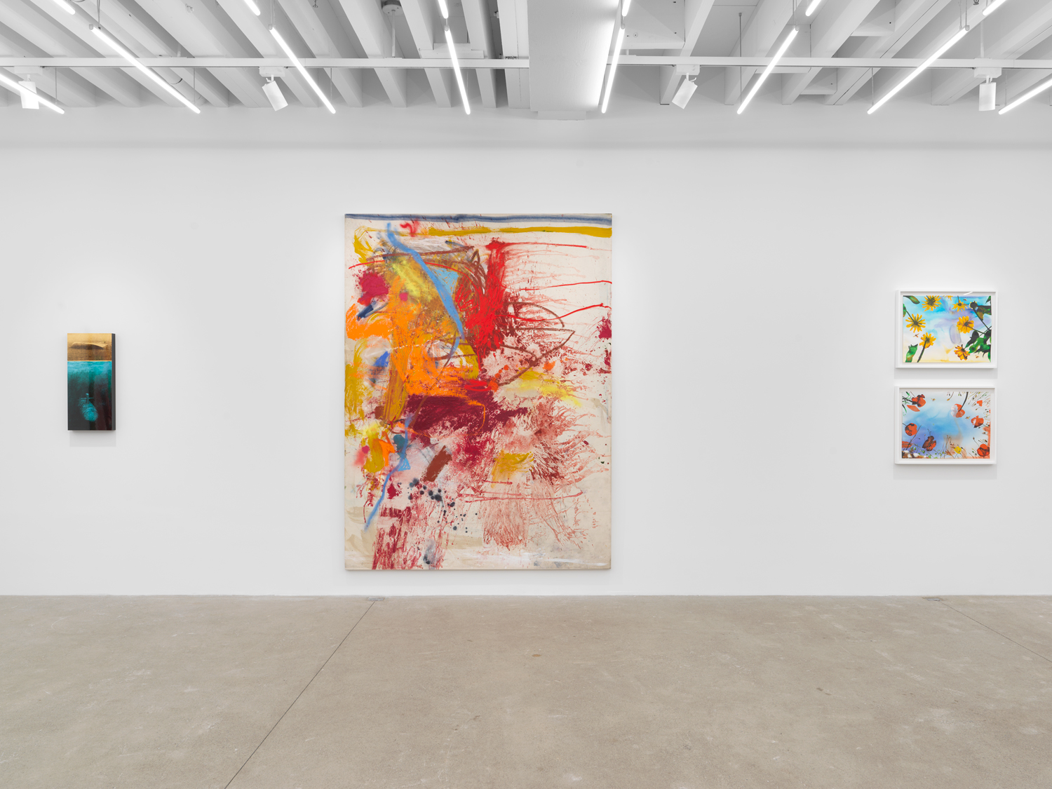 Installation view, Swim Hole, Magenta Plains, New York, NY 2024