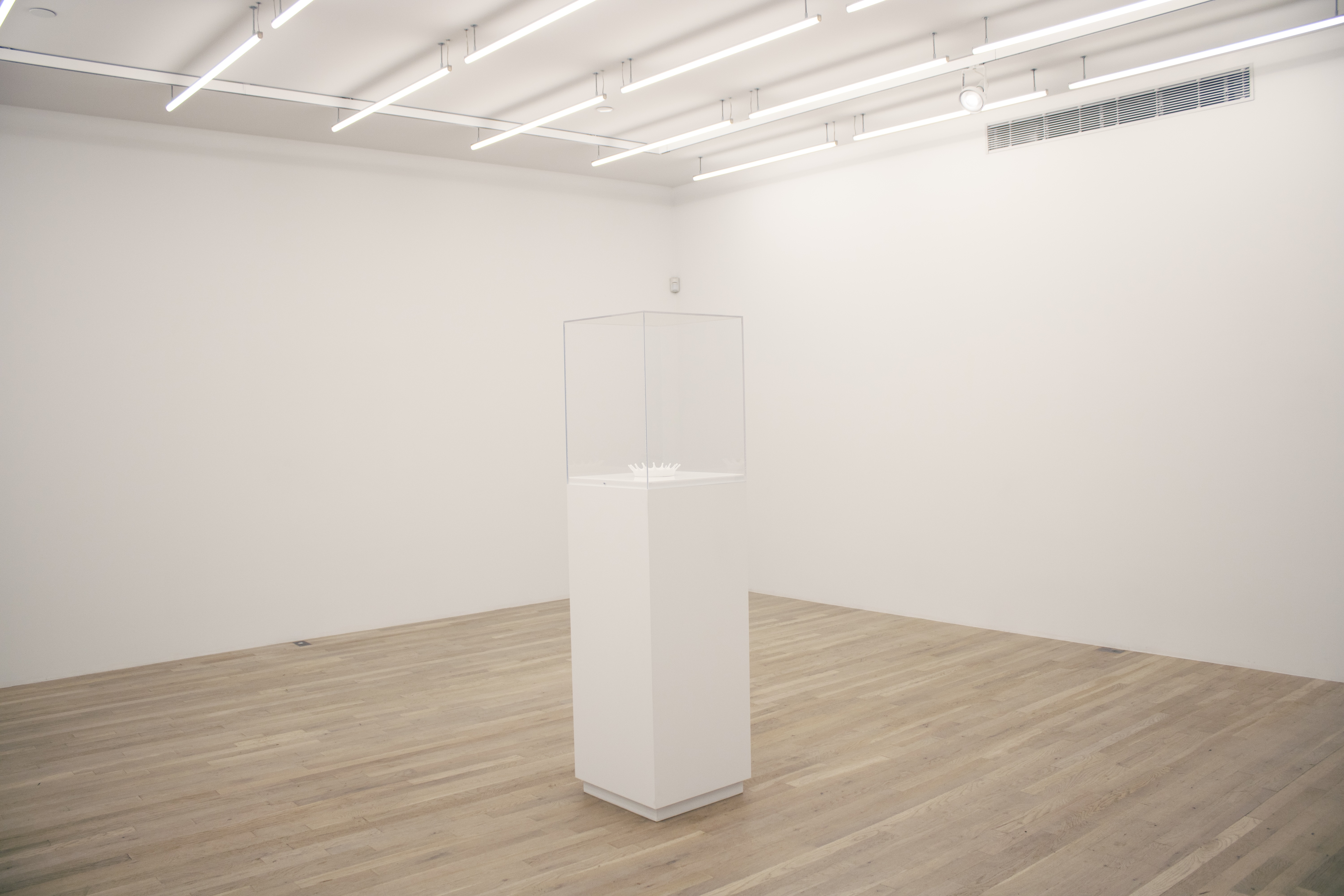 Installation view, Viewing Room II: Jennifer Bolande, Magenta Plains, New York, NY, 2024
