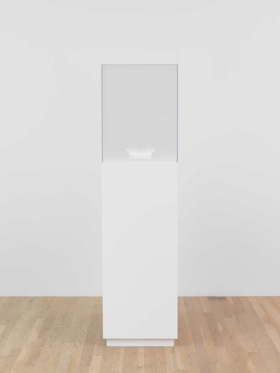 Jennifer Bolande, Milk Crown, 1987-88, Sculpture: Porcelain, Support: White plexiglass, Displayed on a pedestal with vitrine, Sculpture: 1 1/2 x 6 3/4 x 6 3/4 in.