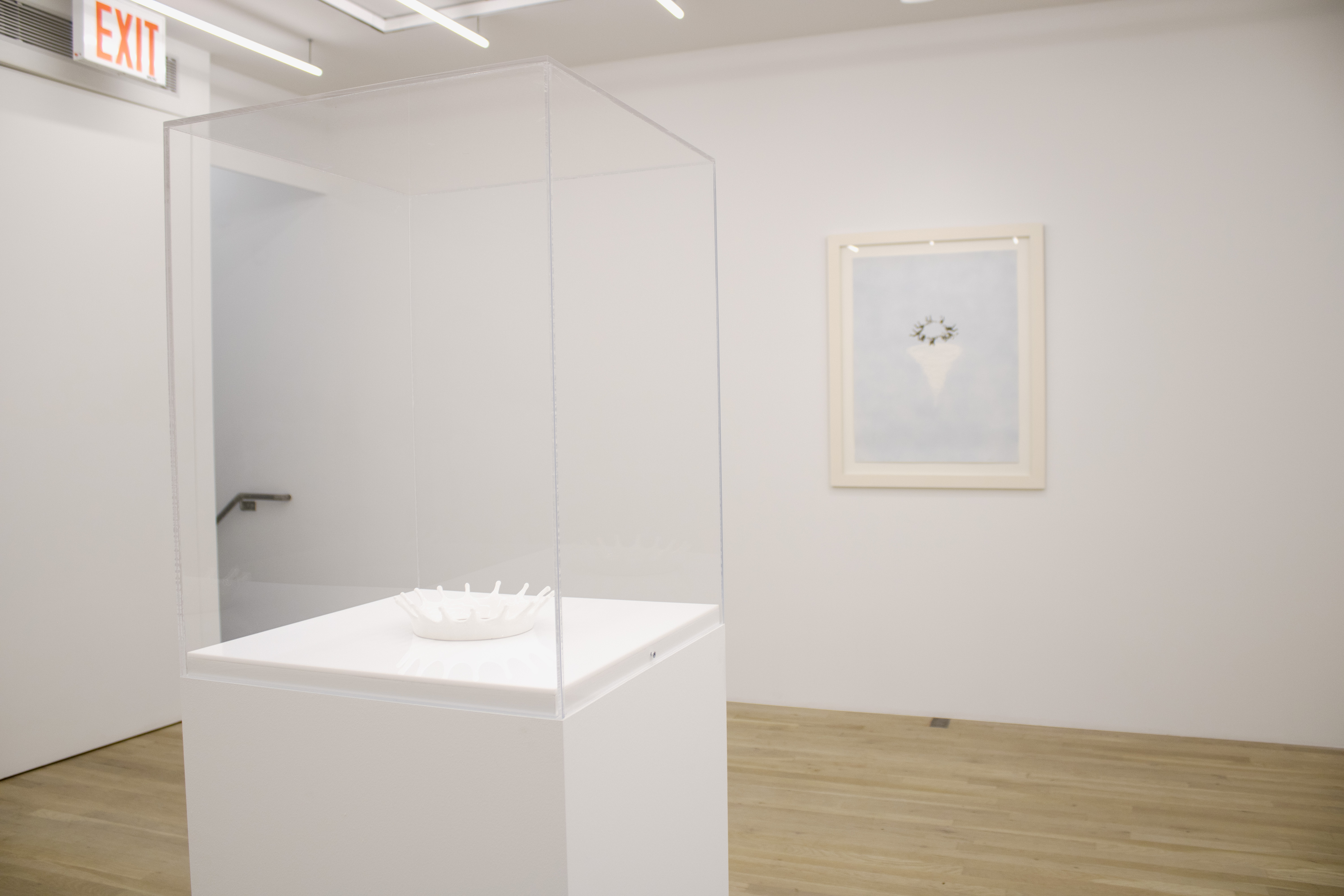 Installation view, Viewing Room II: Jennifer Bolande, Magenta Plains, New York, NY, 2024