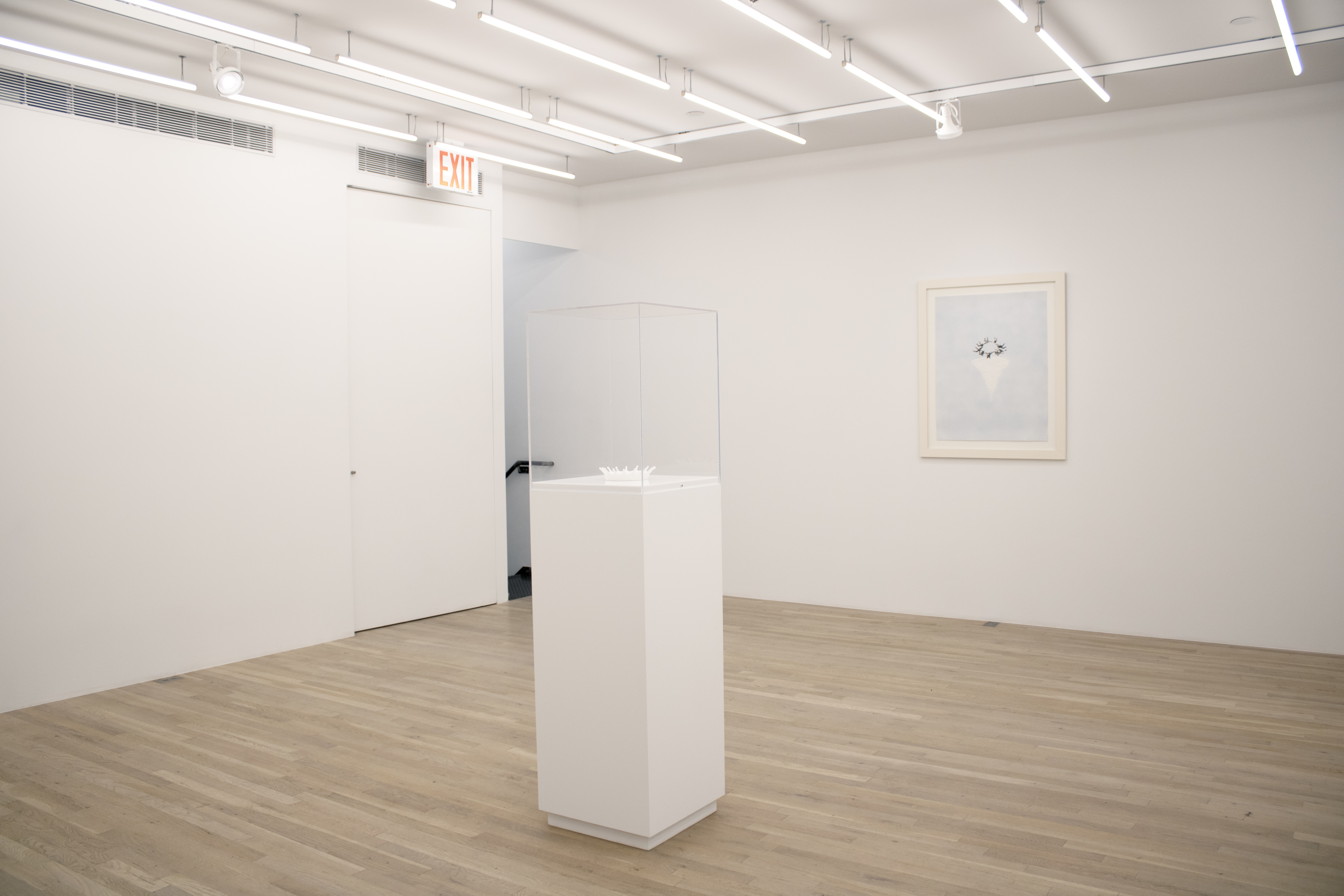 Installation view, Viewing Room II: Jennifer Bolande, Magenta Plains, New York, NY, 2024
