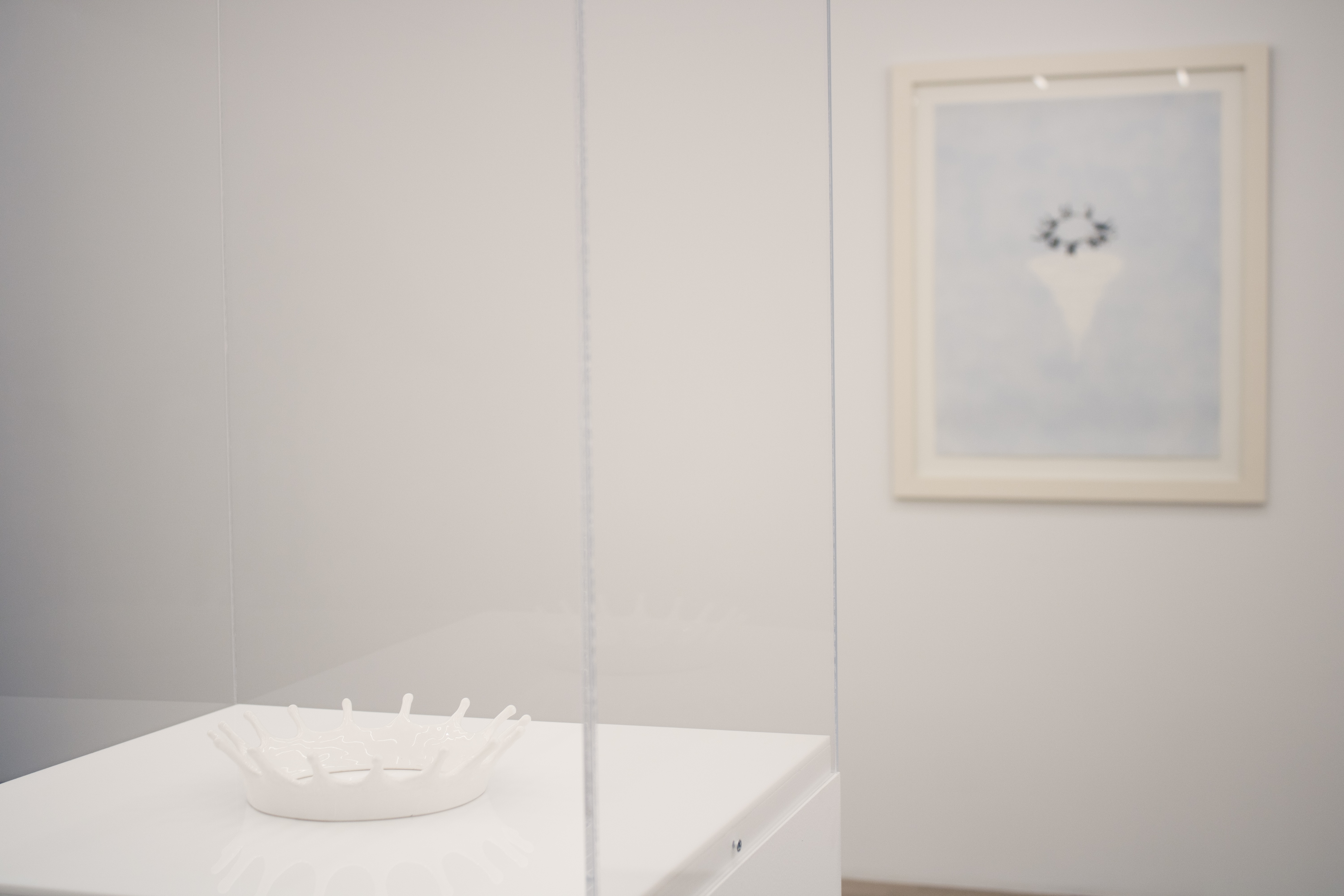 Installation view, Viewing Room II: Jennifer Bolande, Magenta Plains, New York, NY, 2024