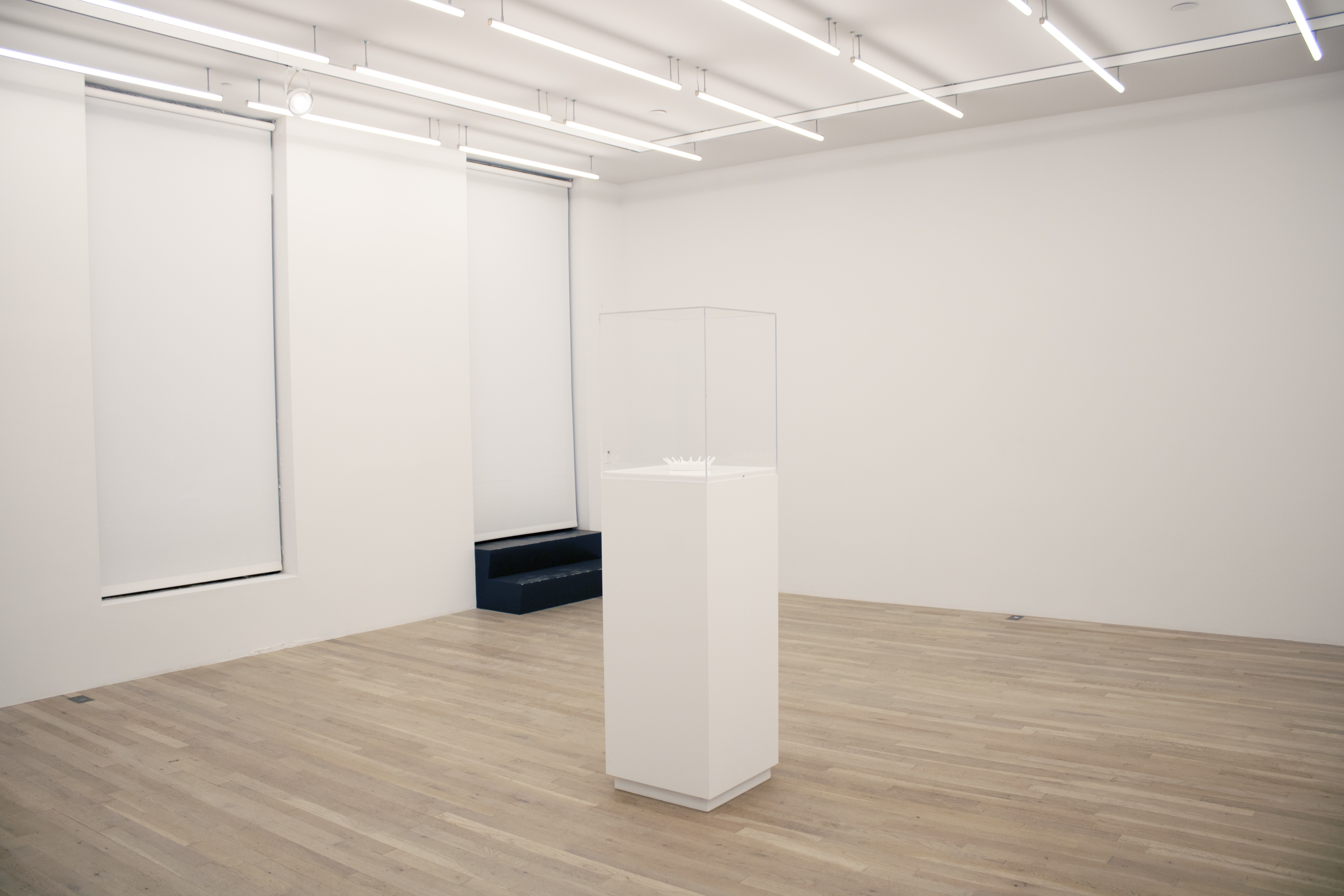 Installation view, Viewing Room II: Jennifer Bolande, Magenta Plains, New York, NY, 2024