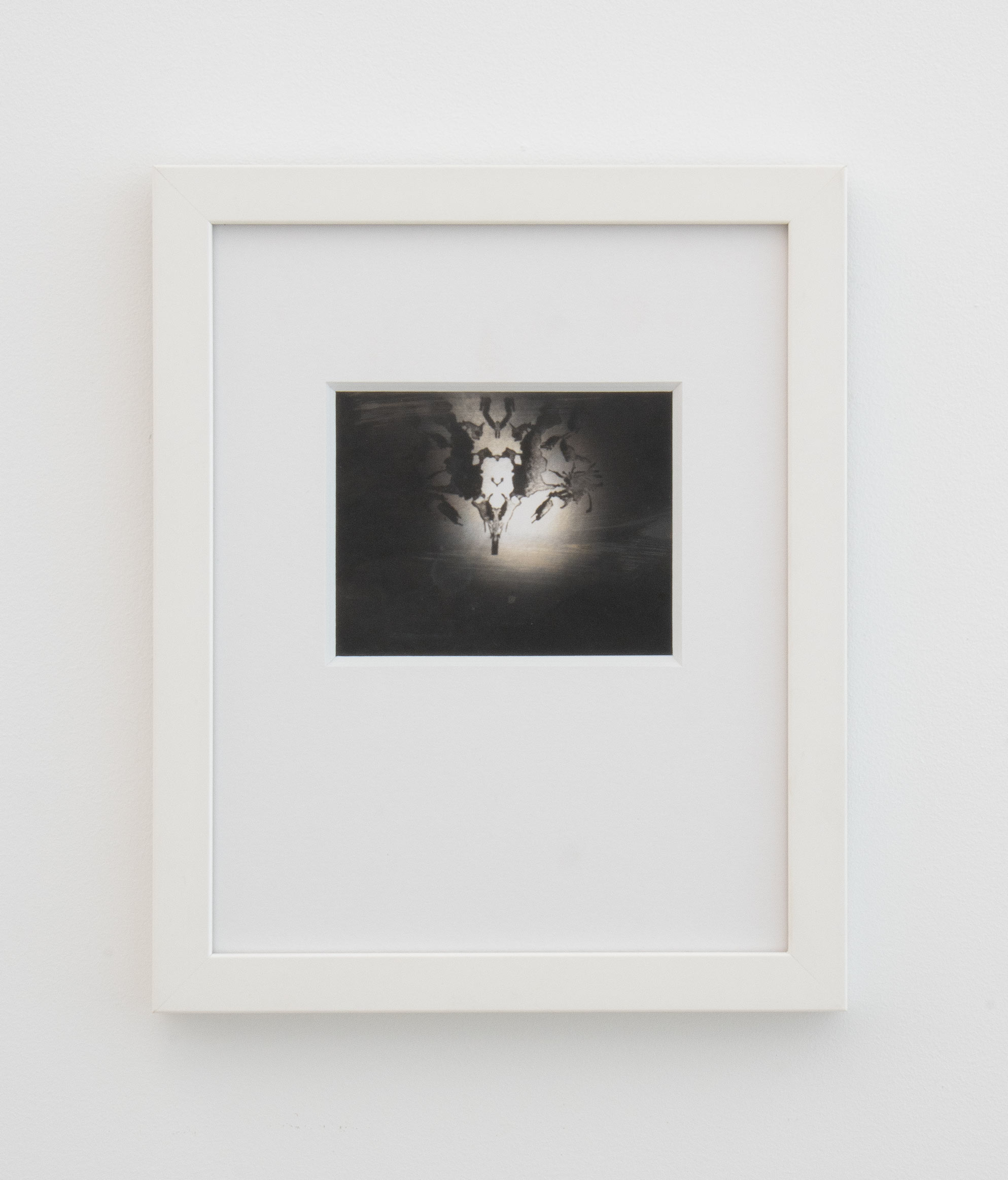 Barbara Ess, (Rorschach Monster), 1988-2006, Positive - Negative Polaroid, Unframed: 3 1/2 x 4 1/2 in., Framed: 11 x 9 x 1 in.