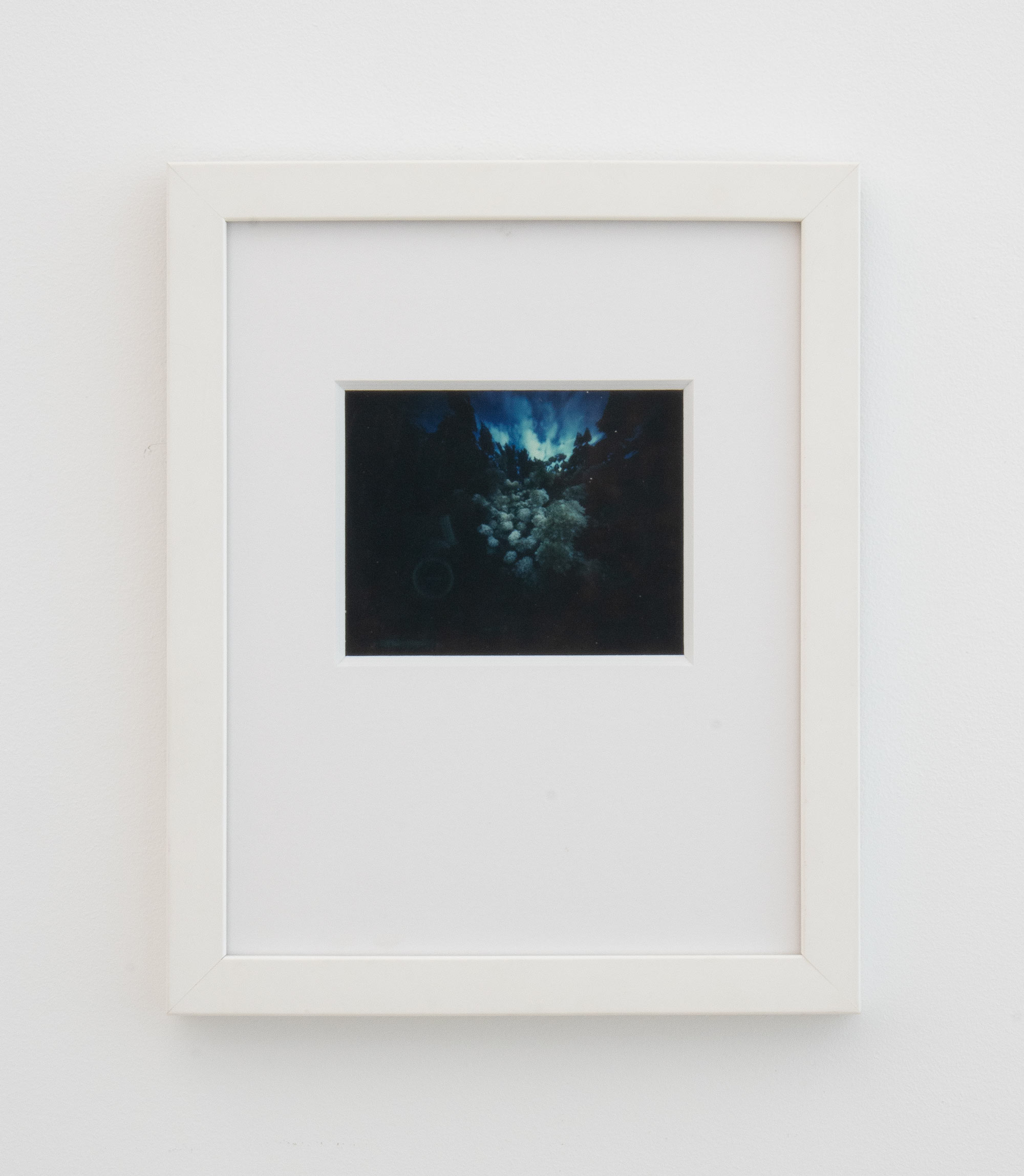 Barbara Ess, (Sky and Flowers), 1988-2006, Positive - Negative Polaroid, Unframed: 3 1/2 x 4 1/2 in., Framed: 11 x 9 x 1 in.