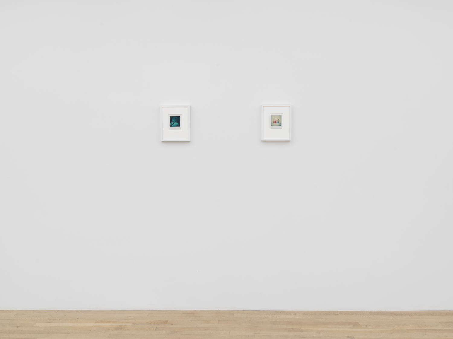 Installation view, Viewing Room III: Barbara Ess, Magenta Plains, New York, NY, 2025