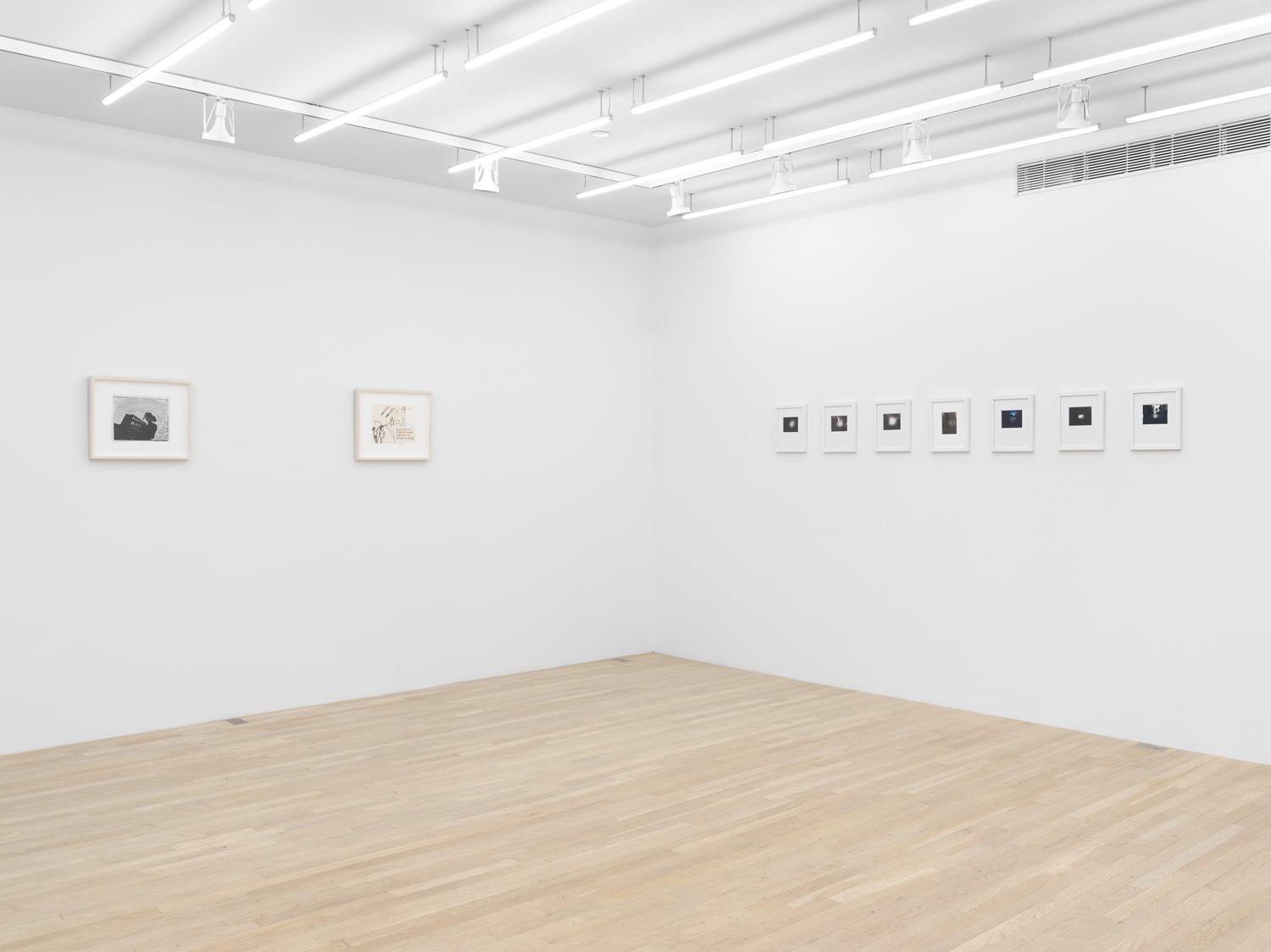 Installation view, Viewing Room III: Barbara Ess, Magenta Plains, New York, NY, 2025