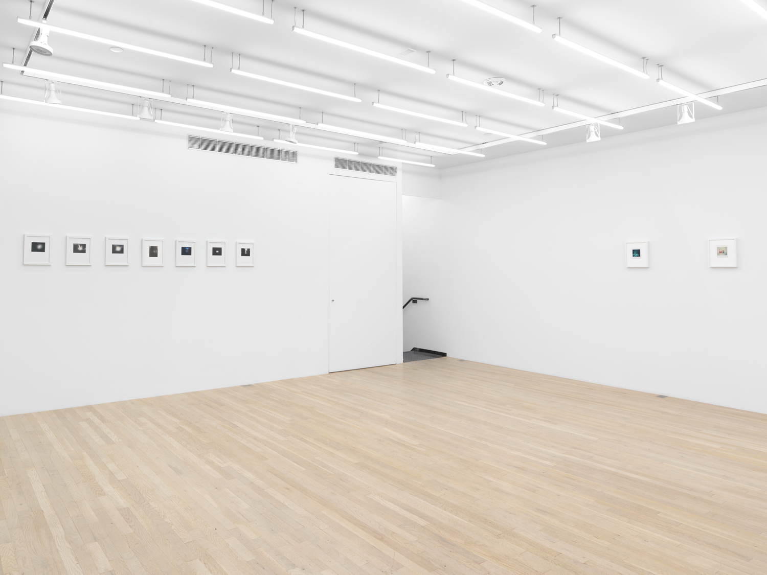 Installation view, Viewing Room III: Barbara Ess, Magenta Plains, New York, NY, 2025